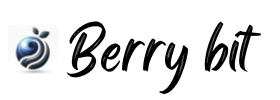 Berry bit